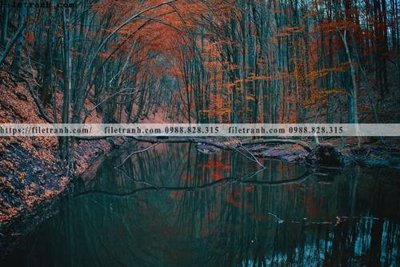 Tải file buc anh ve nguoi chup 576 (ảnh gốc) file TIFF