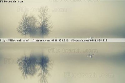 Tải file gốc buc anh ve nguoi chup 579 (bản PSD) đầy đủ layer