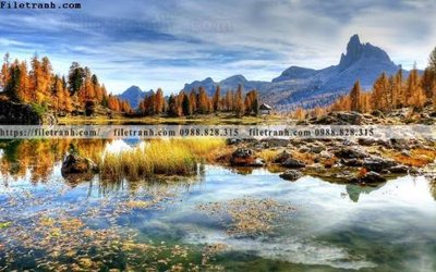 File gốc buc anh ve nguoi chup 590 (dành cho quảng cáo)