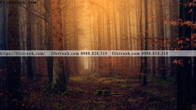 File tranh buc anh ve nguoi chup 592 (gốc) chủ đề thiên nhiên