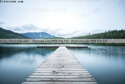 Tải file buc anh ve nguoi chup 599 (ảnh gốc) file AI/EPS