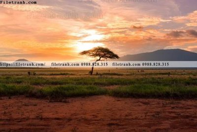 File tranh buc anh ve nguoi chup 610 (gốc) in trên kính