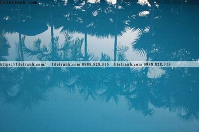 File in trần buc anh ve nguoi chup 654 (file gốc) hoa văn 3D