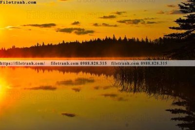 File tranh buc anh ve nguoi chup 658 (ảnh gốc) sắc nét hoàn hảo