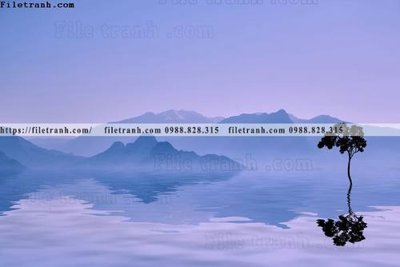 Tải file PSD buc anh ve nguoi chup 665 (nguyên layer) để in