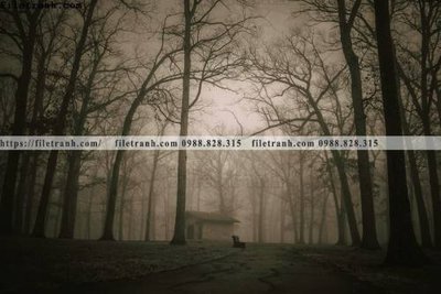 File tranh buc anh ve nguoi chup 682 (bản gốc) in canvas