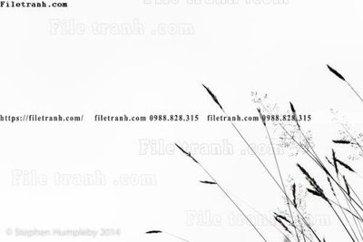 Tải file buc anh ve nguoi chup 693 (gốc) làm file in ấn