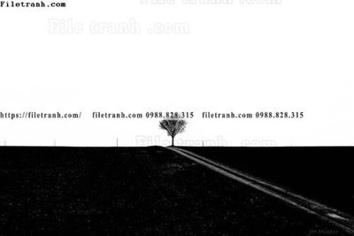 File tranh buc anh ve nguoi chup 694 (gốc) in vải canvas