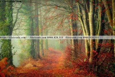 File gốc buc anh ve nguoi chup 712 (in lụa) tranh thuận buồm