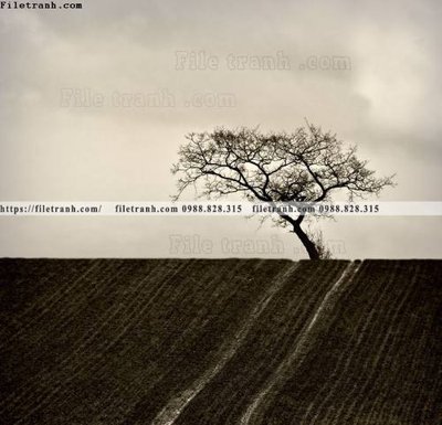 Download file gốc buc anh ve nguoi chup 726 (in mica) trang trí