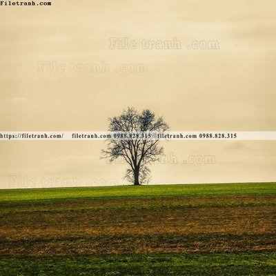 File gốc buc anh ve nguoi chup 728 (in lụa) trang trí tường