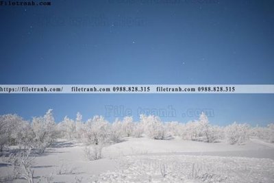 Mua file tranh gốc buc anh ve nguoi chup 730 tại Filetranh.com