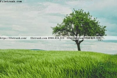 Tải file gốc buc anh ve nguoi chup 731 (in tráng gương) 3DFile gốc buc anh ve nguoi chup 731 (sẵn sàng in) chất lượng cao