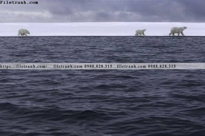 File tranh buc anh ve nguoi chup 733 (gốc) chủ đề thiên nhiên