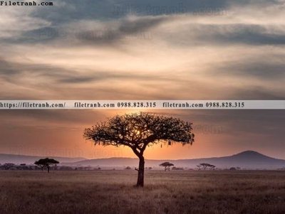 File in trần buc anh ve nguoi chup 738 (file gốc) hoa văn 3D