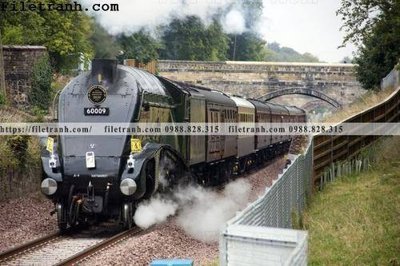 Tải về file tranh gốc buc anh ve tau hoi nuoc 177 (để in quảng cáo)