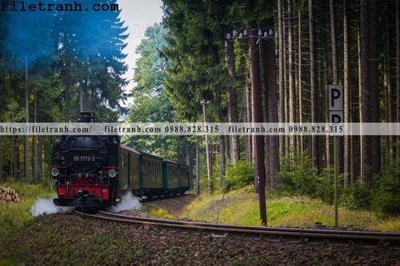 File tranh buc anh ve tau hoi nuoc 180 (ảnh gốc) in trần xuyên sáng