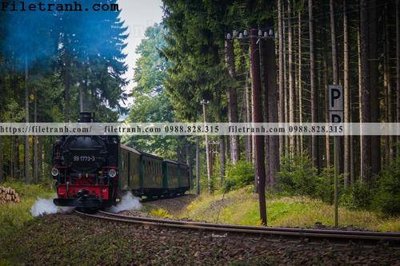 Chi tiết file gốc buc anh ve tau hoi nuoc 219 (cho in tráng gương)