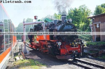 File gốc buc anh ve tau hoi nuoc 226 (dành cho quảng cáo)