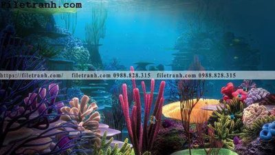 File gốc buc anh ve the gioi duoi nuoc 136 (PSD/TIFF) độ phân giải cao