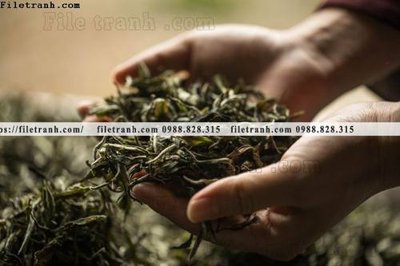 File gốc buc anh ve van hoa tra dao Trung Quoc 132 (thiết kế) cho in ấn