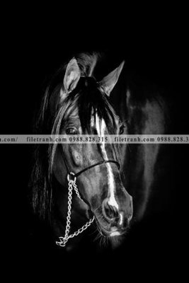 File gốc in mica buc tranh 1 con ngua son dau dep 508 chất lượng