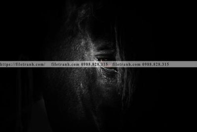 File in trần buc tranh 1 con ngua son dau dep 512 (bản gốc) trời sao