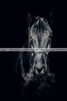 File tranh quảng cáo buc tranh 1 con ngua son dau dep 513 (file gốc) chuyên nghiệp