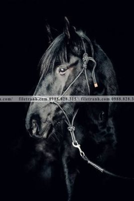 File tranh buc tranh 1 con ngua son dau dep 515 (bản gốc) treo tường