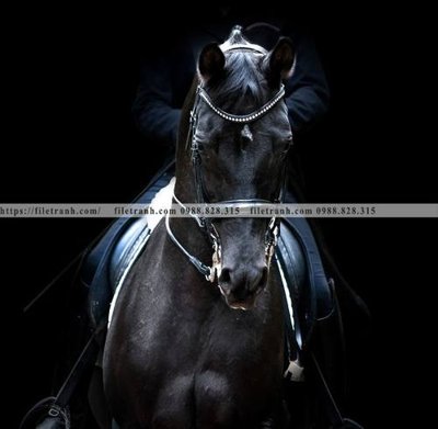 Tải file buc tranh 1 con ngua son dau dep 516 (gốc) in ấn chất lượng