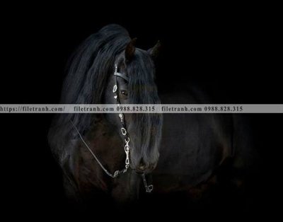 Tải file buc tranh 1 con ngua son dau dep 518 (gốc) làm file thiết kế