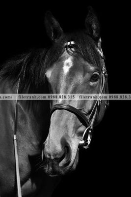 Tải file gốc buc tranh 1 con ngua son dau dep 521 dùng cho in ấn