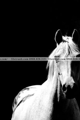 Download file buc tranh 1 con ngua son dau dep 524 (gốc) in mica bàn thờ