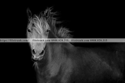 Tải file gốc in lụa buc tranh 1 con ngua son dau dep 527 siêu nét