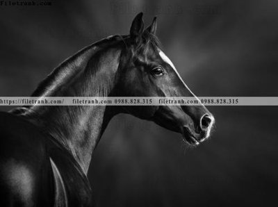 File gốc in mica buc tranh 1 con ngua son dau dep 531 chất lượng