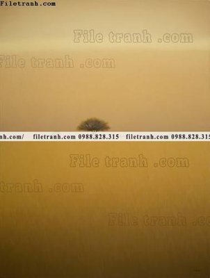 File tranh buc tranh khoi mau cuc truu tuong 623 (gốc) chủ đề trừu tượng