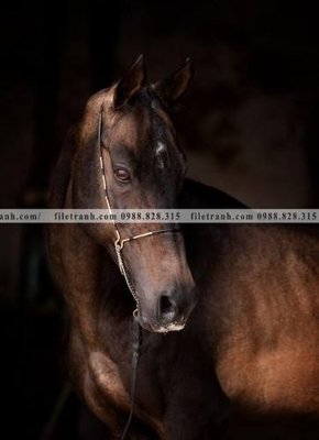 Download file buc tranh ngua den trang 109 (gốc) cho xưởng in