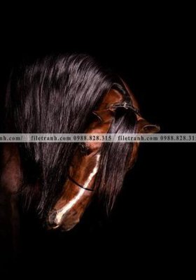 File ảnh buc tranh ngua den trang 120 (gốc) in poster