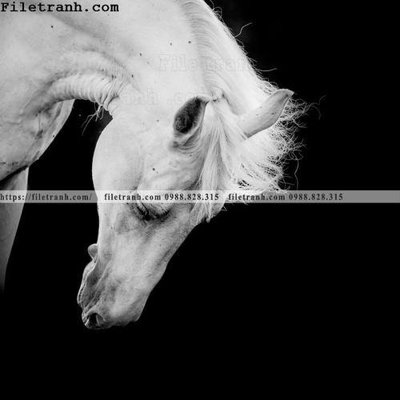 Tệp tin gốc buc tranh ngua den trang 121 (dùng cho in ấn) chuyên nghiệp