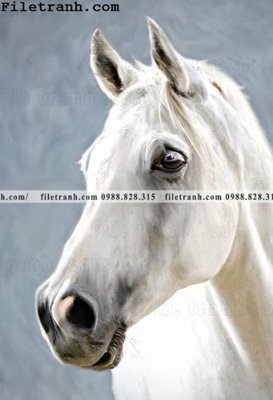 Hình ảnh file gốc in lụa buc tranh ngua den trang 127