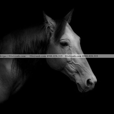 File tranh trang trí buc tranh ngua den trang 136 (tải file gốc)