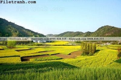 Download file gốc buc tranh phong canh nong thon 107 (in lụa) tranh 3D