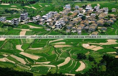 File gốc buc tranh phong canh nong thon 123 (in ấn) không giới hạn