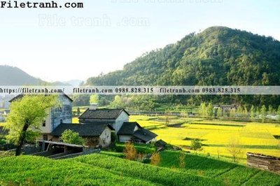 Tải file gốc buc tranh phong canh nong thon 126 (in khổ lớn) không vỡ