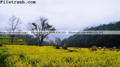 File tranh buc tranh phong canh nong thon 171 (bản gốc) treo quán cafe