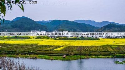 Tải file buc tranh phong canh nong thon 208 (ảnh gốc) in tranh kính