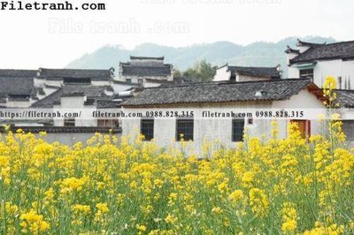 File tranh buc tranh phong canh nong thon 231 (file gốc) chuẩn màu in