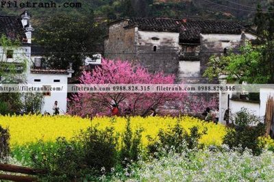 Ảnh gốc buc tranh phong canh nong thon 254 (độ nét cao) in mica