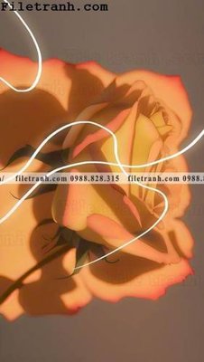 Chi tiết file ảnh buc tranh truu tuong ve hoa Morandi 108 sắc nét