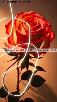 Tải file gốc buc tranh truu tuong ve hoa Morandi 109 (in khổ lớn) không vỡ